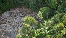 Amazônia: desmatamento cai 22% em 12 meses, diz governo; taxa representa diminuição de 2.593km²