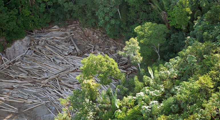 Apenas 146 dos 32 mil alertas de desmatamento no Acre tiveram ações de fiscalização