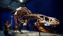 Tiranossauro rex não era veloz como se imaginava, revela estudo