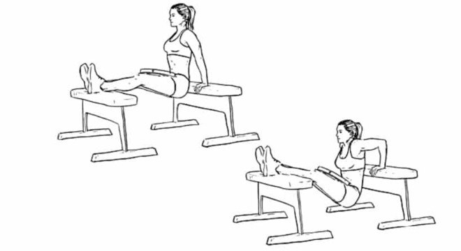 Triceps Banco