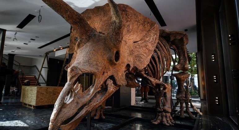 Fósseis de primeiro dinossauro gigante são descobertos