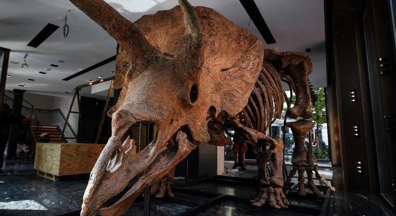 'Big John' é um dos esqueletos de dinossauro mais completos já encontrados