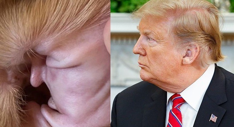 Vamos admitir que realmente parece