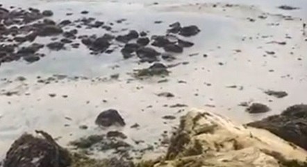 Banhistas registraram recuo do mar em praias chilenas