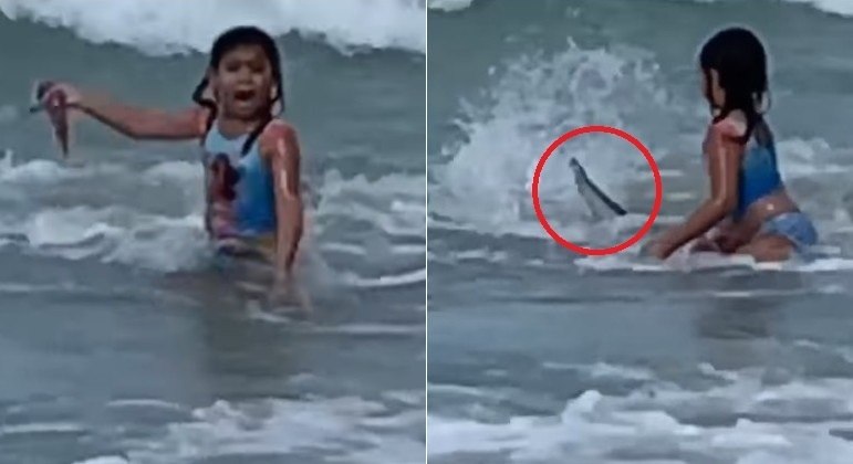 Garotinha de 6 anos quase foi atropelada por tubarão em praia do Havaí