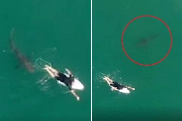Um tubar&atilde;o-branco foi flagrado por um drone a poucos cent&iacute;metros de atacar um surfista desatento, em uma praia de&nbsp;Ballina, na Austr&aacute;lia