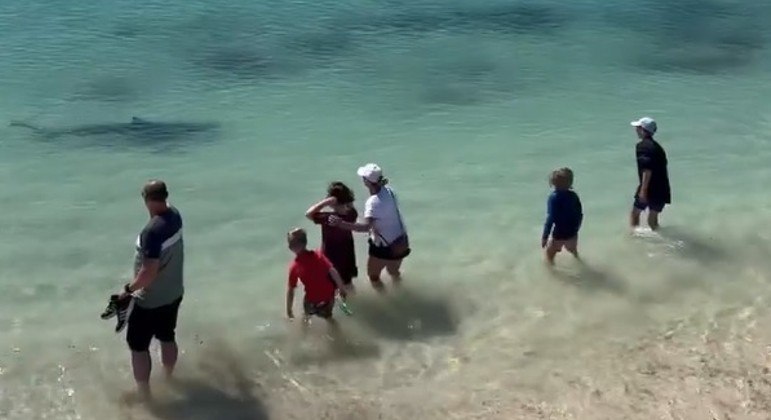 Tubarão foi flagrado a poucos metros de crianças em praia australiana