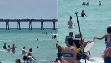 Vídeo: tubarão aparece em praia da Flórida e aterroriza banhistas