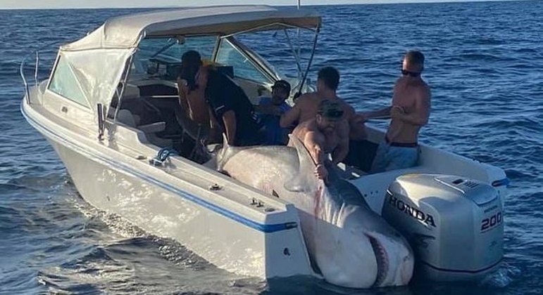Parece um amigo bêbado que precisou de carona para chegar em casa
