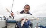 Um pescador amador inglês fisgou um verdadeiro tubarão branco!