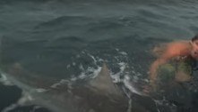 Nadador escapa por muito pouco de ataque de tubarão: 'Achei que ia morrer'