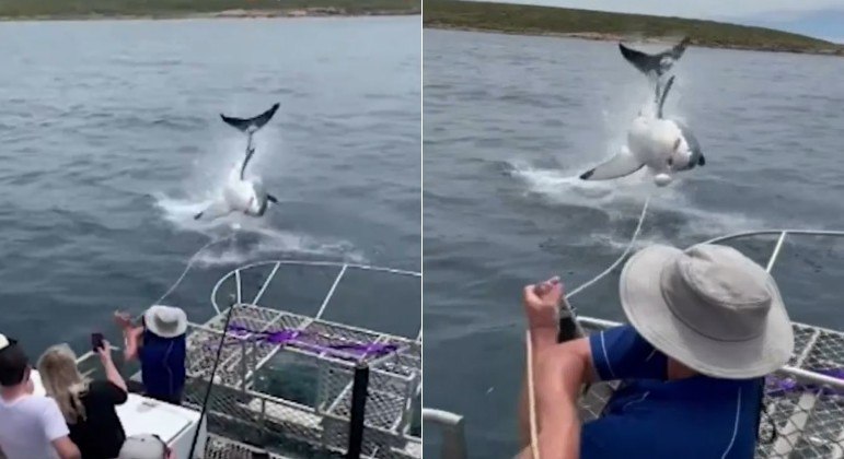 Tubarão deu salto impressionante para fora da água, em península no sul da Austrália
