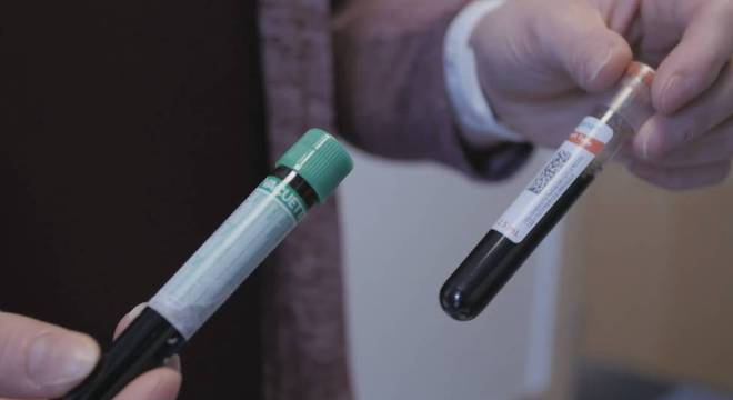 Sangue é um dos produtos que a empresa exporta 