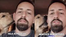 Tutor brinca sobre a realidade de ter um golden retriever em vídeo divertido; assista 