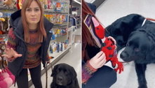 Cão-guia viraliza ao 'enganar' tutora cega e levá-la até seção de brinquedos de supermercado 
