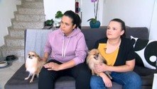 Tutoras de cães intoxicados por petiscos denunciam empresas