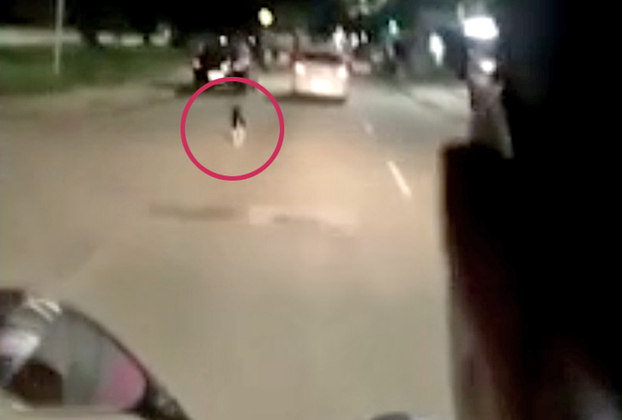 Um casal em uma moto filmou o cachorro correndo e enviou para a Polícia. Dois dias depois, felizmente, o cachorro foi encontrado e levado para a adoção. 
