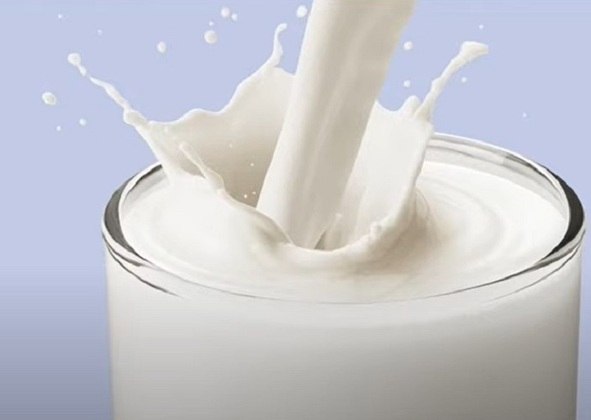 Um copo de leite é uma boa opção por conter triptofano e cálcio, além de ser algo simples e barato: boa parte da população consegue ter acesso.