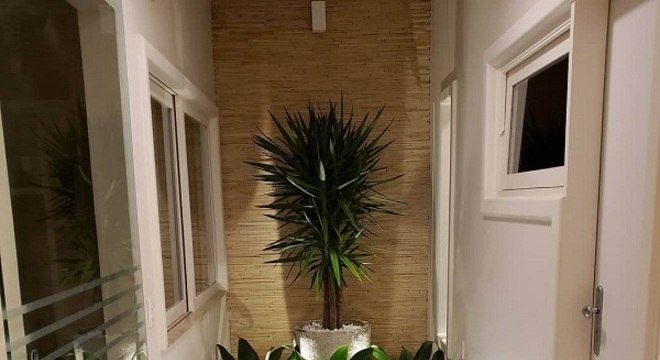 Um jardim simples de inverno em um canto pode ser o que sua casa precisa - Foto: Emiko Karina