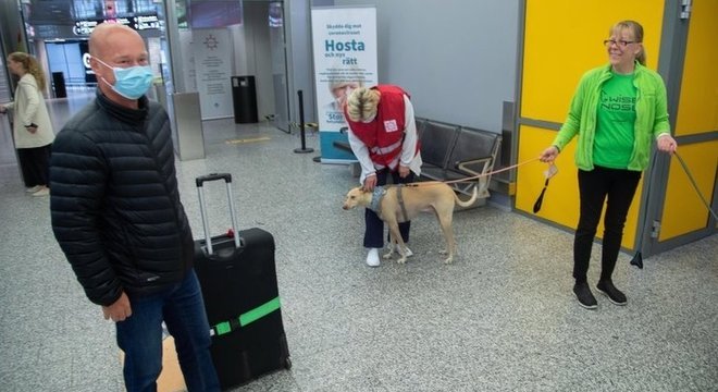 A Finlândia já está usando cães nos aeroportos