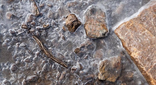 Um pedaço de madeira antigo emerge do degelo nas montanhas do Wyoming