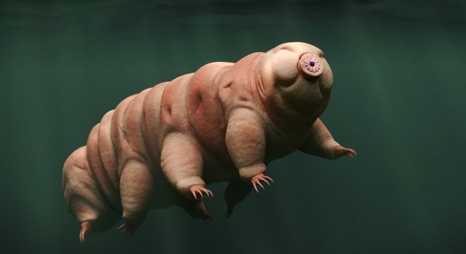  O acidente na nave espacial israelense pode ter tido consequências não intencionais, liberando os tardígrados na Lua 