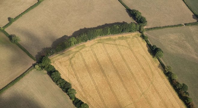 Uma área cercada antiga em Churchstanton, também em Somerset