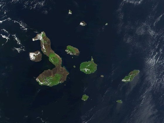 Uma das ilhas, Isabela, tem o formato de um cavalo marinho, vista do alto.  Ela tem cinco vulcões com até 1.690 metros de altura.