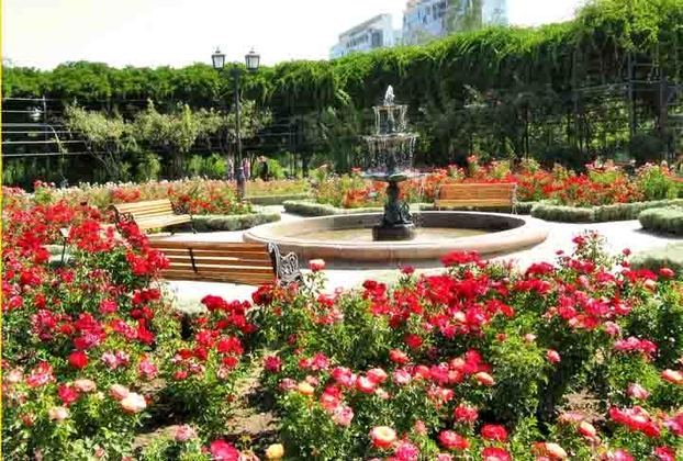 Uma das principais e mais belas áreas verdes da capital chilena, o Parque Araucano é bem cuidado, com belo jardim com rosas, espaço para piquenique, brinquedos para crianças, áreas para esporte, lanchonetes e restaurantes.
