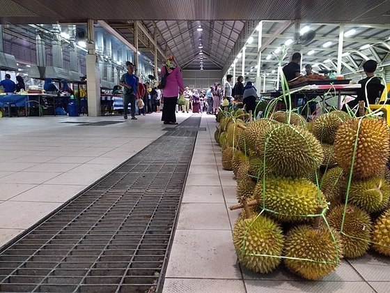 Uma fruta chamada Durian, que tem um cheiro pavoroso, provocou um pouso de emergência na Europa. 