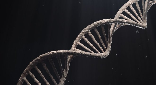 Grupo estudou também dados genômicos de amostras antigas