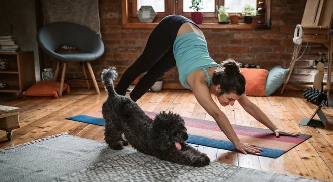 O estudo comparou dados sobre cromossomos sexuais e expectativa de vida em 229 espécies de animais, incluindo mamíferos, pássaros e peixes