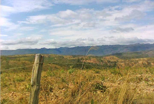 Uma pesquisa do MapBiomas mostrou que o Cerrado é o bioma mais impactado pelo desmatamento para o plantio de soja. 