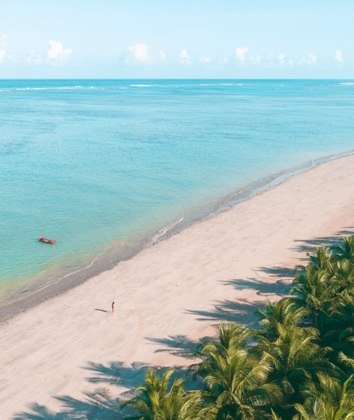 Uma praia no Nordeste do Brasil pode ser fechada para uso privativo. O caso que está dando o que falar acontece em Alagoas e tem o Ministério Público, a Prefeitura de Japaratinga e um resort de luxo como personagens.