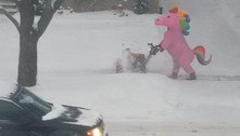 Este unicórnio rosa retira a neve da frente de casa há três invernos