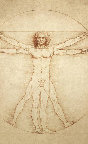 Homem vitruviano, um dos principais e mais famosos desenhos feitos por Leonardo da Vinci 