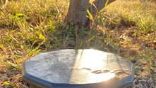 Urna funerária com cinzas de mulher é encontrada em parque do DF