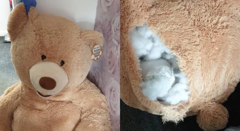 Polícia encontrou o foragido dentro do urso de pelúcia
