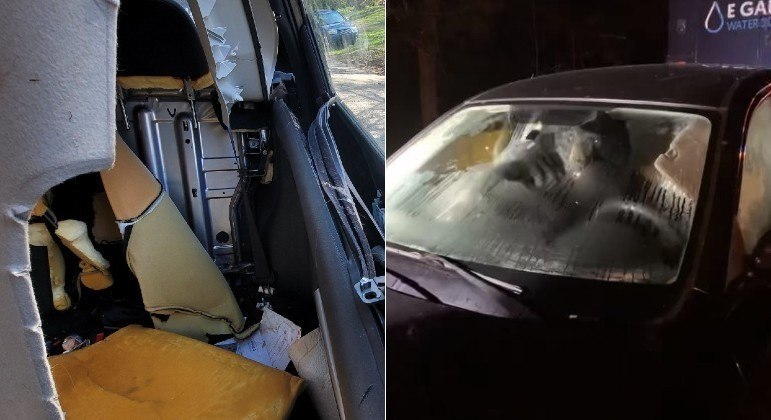 Urso foi flagrado no banco do carona de carro em Cornwall, Connecticut (EUA)