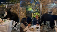 Urso penetra invade casamento, destrói decoração e é expulso