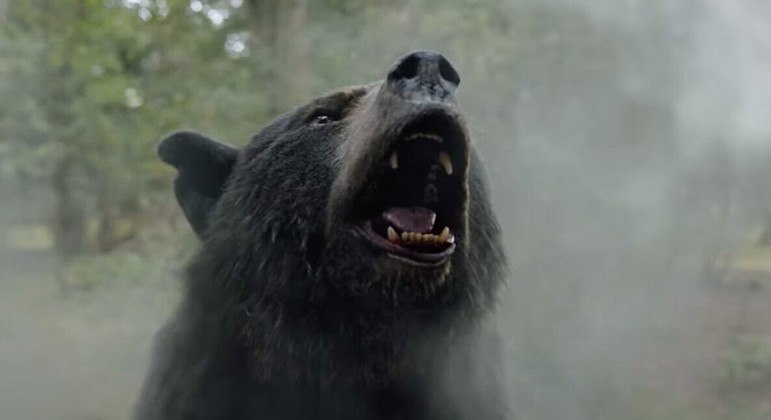 Urso monstruoso passa a matar sem parar após comer quilos de cocaína