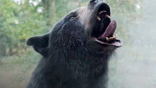 Filme de urso assassino que come carga de cocaína é nova aposta dos críticos de cinema