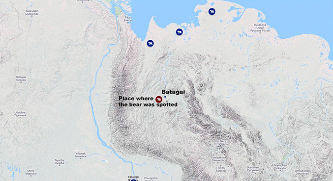 Os pontos azuis mostram onde os ursos polares normalmente ficam. O ponto vermelho é onde o animal perdido foi visto correndo