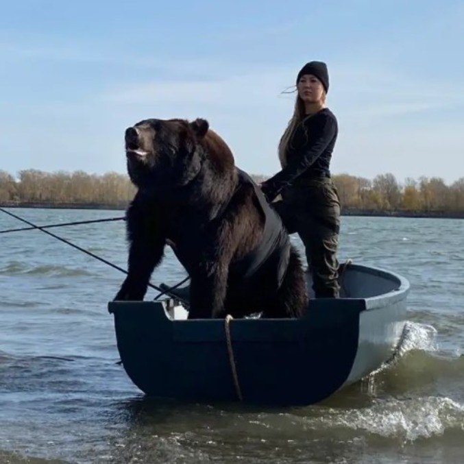 O animal parece até gostar de pescaria