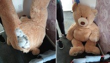 Policiais vasculham urso de pelúcia gigante que 'respirava' e encontram ladrão escondido dentro dele