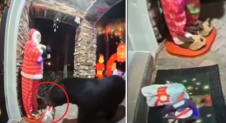 Urso levou tudo, menos a salada