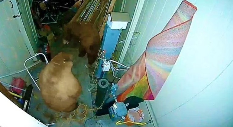 A briga foi tão insana que é até difícil entender a imagem