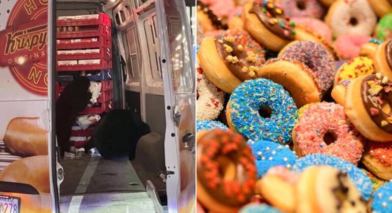 Ursos foram flagrados comendo donuts dentro de van
