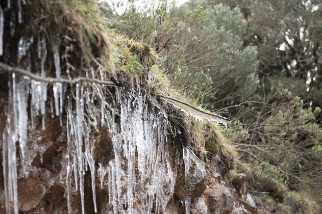 A menor temperatura registrada até agora foi em Bom Jardim da Serra (SC), com -6,4°C. Lá chegou a nevar. Assim como na cidade de São Joaquim, onde os termômetros registraram -3,6°C