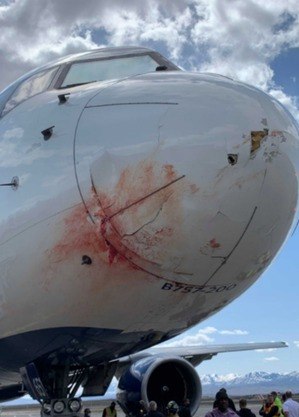 Avião do Utah Jazz após incidente
